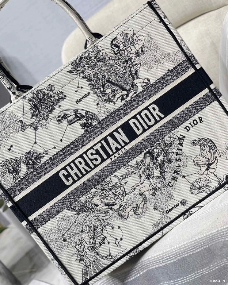 75604 GoAnywhere Dior Christian Bags Shopping 0719